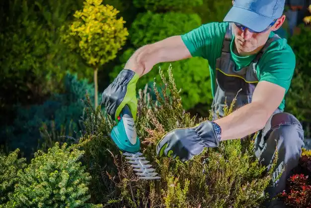 landscaping services Iuka